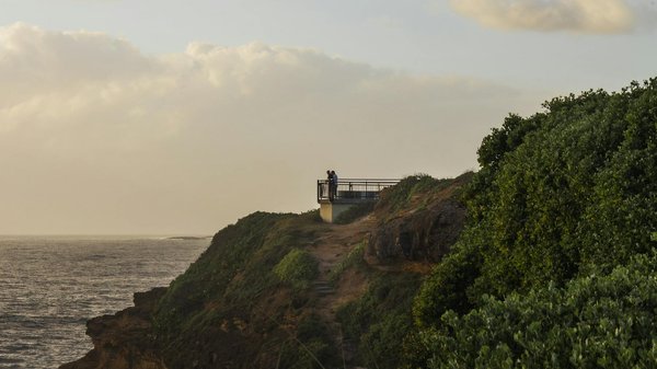 Comment organiser une expédition pour observer les éléphants en Zambie ?